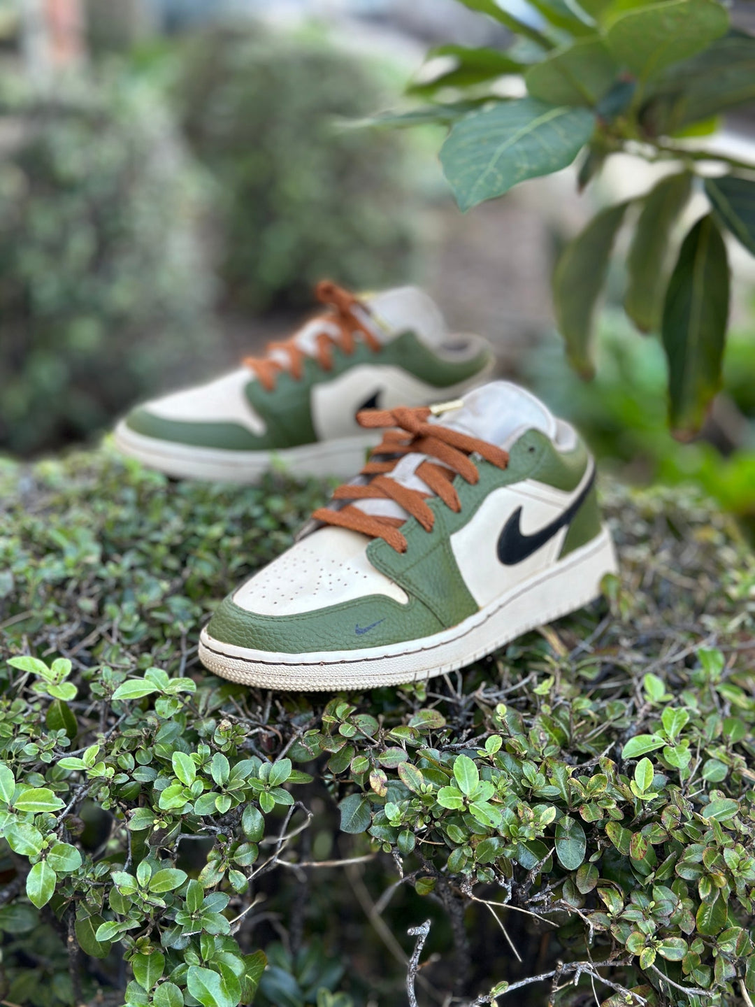 Custom Air Jordan 1 Green And Cream With Brown Laces